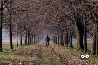 Parco La Mandria, Venaria Reale