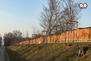 Parco La Mandria, Venaria Reale