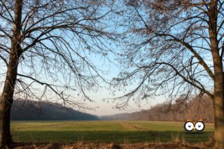 Parco La Mandria, Venaria Reale