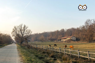 Parco La Mandria, Venaria Reale