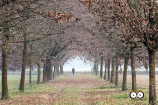 Parco La Mandria, Venaria Reale