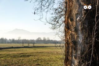 Parco La Mandria, Venaria Reale