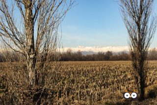 Parco Unione Europea, Mappano