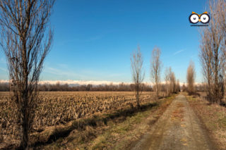 Parco Unione Europea, Mappano