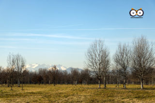 Parco Unione Europea, Mappano