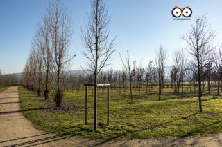 Parco Enrico Berlinguer, Settimo Torinese