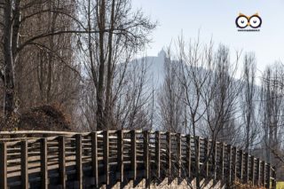 Parco Fluviale del Po, Settimo Torinese