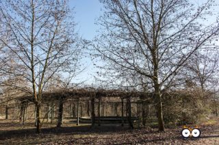 Parco Fluviale del Po, Settimo Torinese