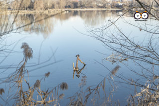 Parco del Meisino, Torino