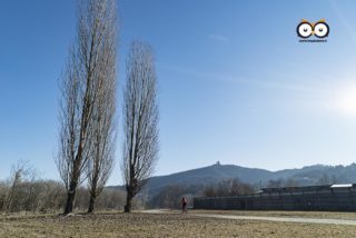 Superga dal Parco del Meisino, Torino