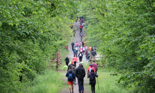 passeggiate con Jane inQubatore Qulturale