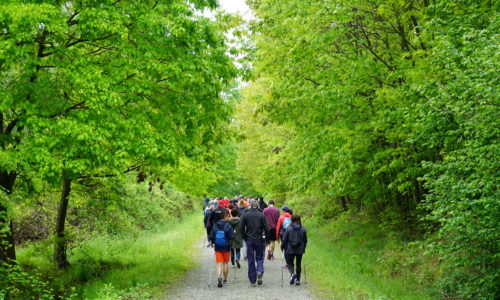 passeggiate con Jane inQubatore Qulturale