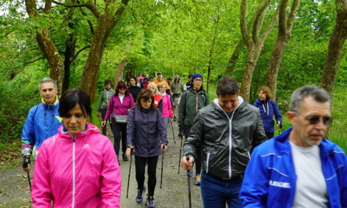 passeggiate con Jane inQubatore Qulturale