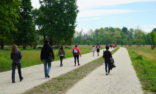 passeggiate con Jane inQubatore Qulturale