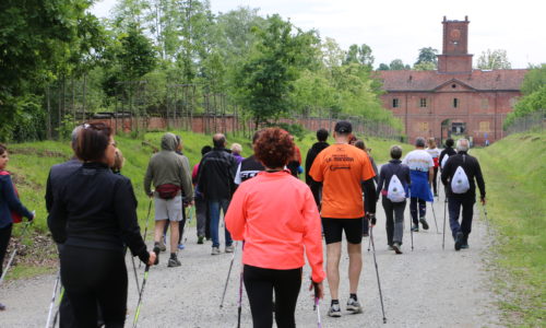 passeggiate con Jane inQubatore Qulturale