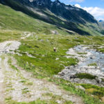 Biketrack: escursione in mtb