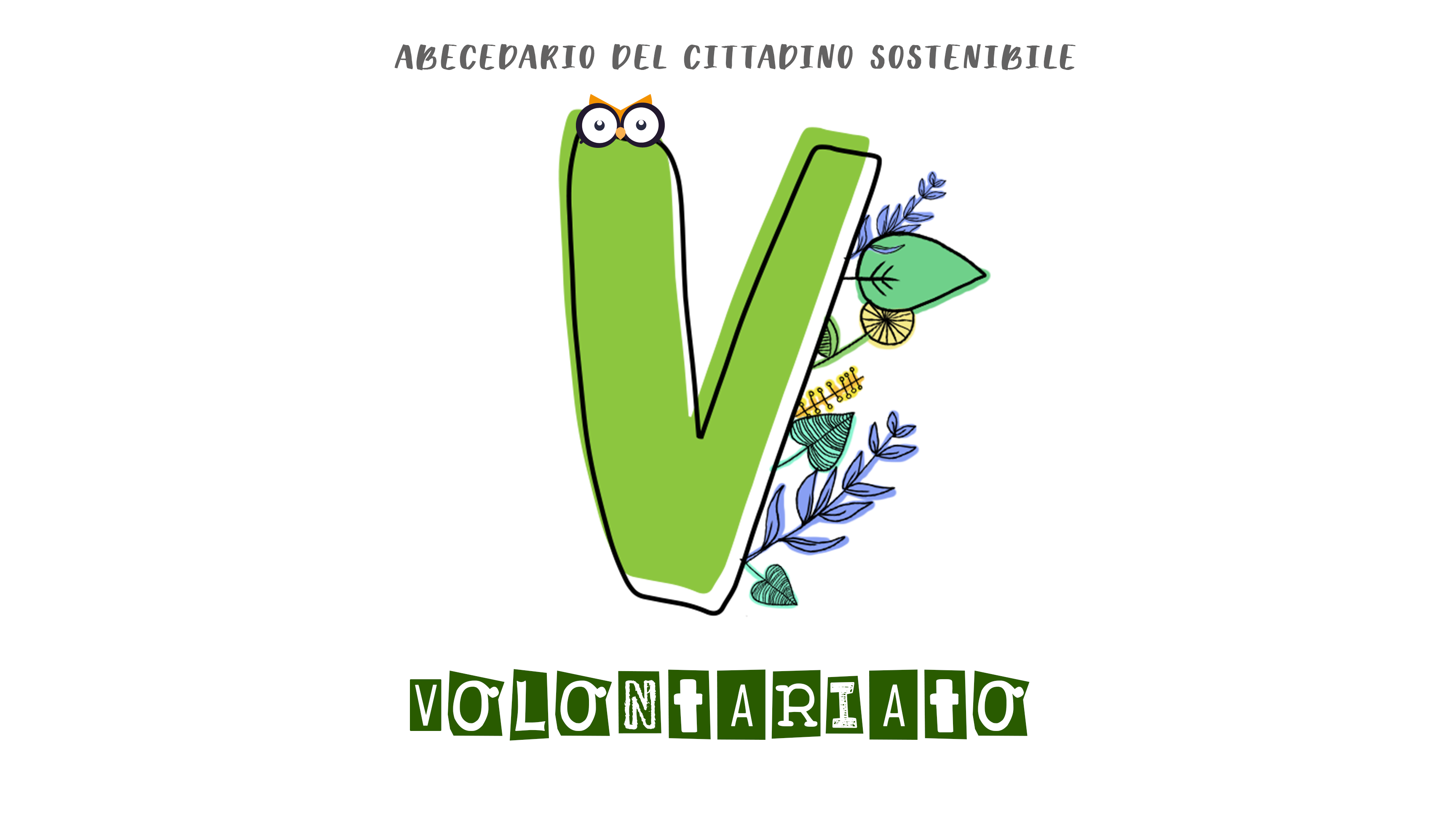 V volontariato blog